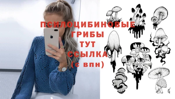 винт Киренск