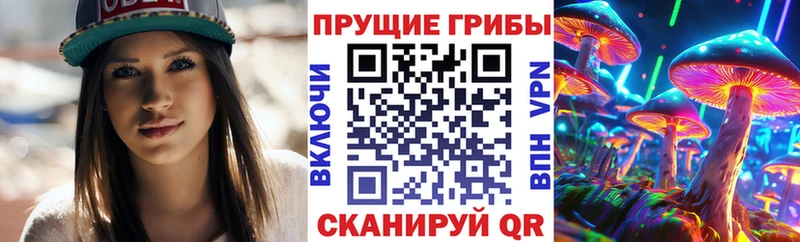 Галлюциногенные грибы Psilocybe  Купить закладки  Егорьевск 